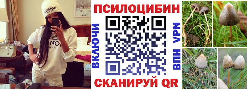 продажа наркотиков  Сухиничи  Псилоцибиновые грибы Psilocybine cubensis 